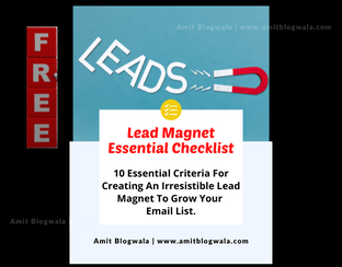 Lead Magnet Essential - Free Checklist By Amit Blogwala